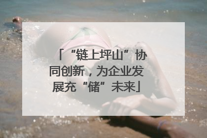 “链上坪山”协同创新，为企业发展充“储”未来