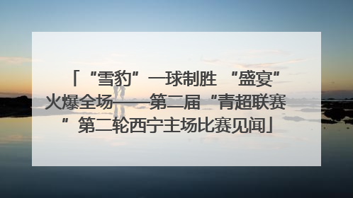 “雪豹”一球制胜 “盛宴”火爆全场——第二届“青超联赛”第二轮西宁主场比赛见闻