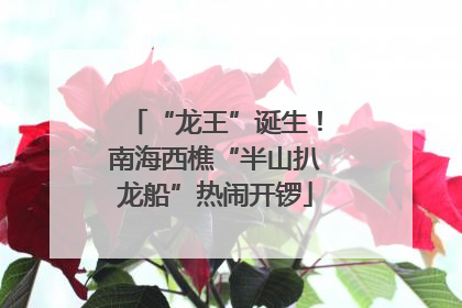 “龙王”诞生！南海西樵“半山扒龙船”热闹开锣