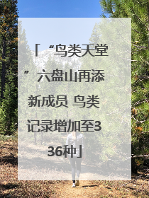 “鸟类天堂”六盘山再添新成员 鸟类记录增加至336种