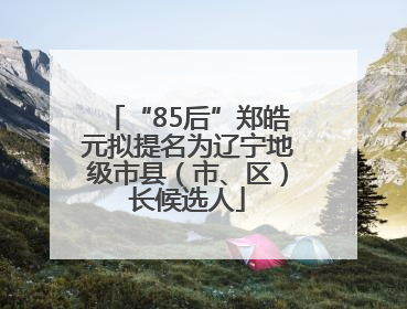“85后”郑皓元拟提名为辽宁地级市县（市、区）长候选人