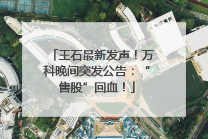 王石最新发声！万科晚间突发公告：“售股”回血！
