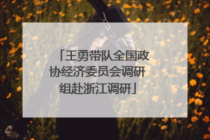 王勇带队全国政协经济委员会调研组赴浙江调研