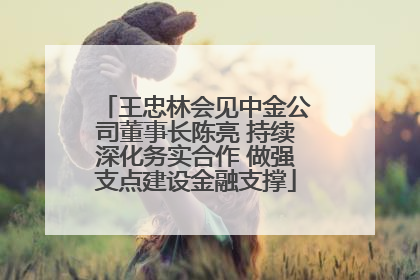王忠林会见中金公司董事长陈亮 持续深化务实合作 做强支点建设金融支撑