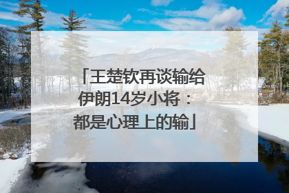 王楚钦再谈输给伊朗14岁小将：都是心理上的输