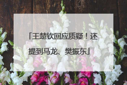 王楚钦回应质疑！还提到马龙、樊振东