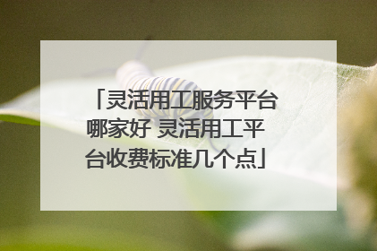 灵活用工服务平台哪家好 灵活用工平台收费标准几个点
