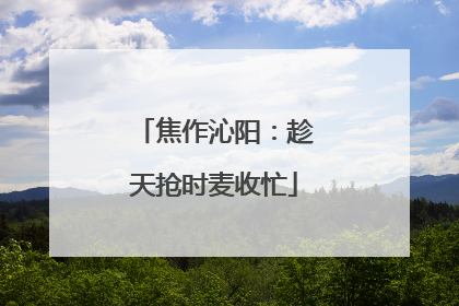 焦作沁阳：趁天抢时麦收忙