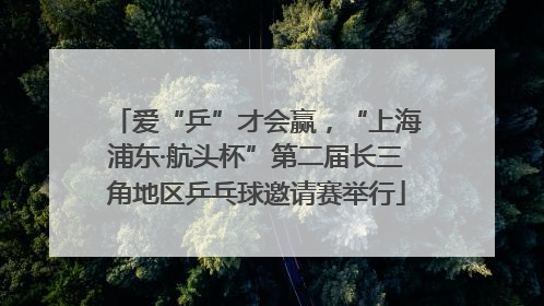 爱“乒”才会赢，“上海浦东·航头杯”第二届长三角地区乒乓球邀请赛举行