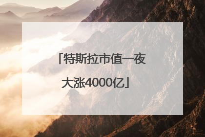 特斯拉市值一夜大涨4000亿