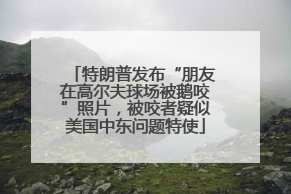 特朗普发布“朋友在高尔夫球场被鹅咬”照片，被咬者疑似美国中东问题特使