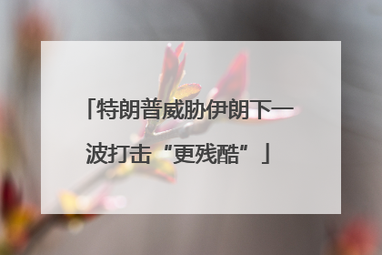 特朗普威胁伊朗下一波打击“更残酷”