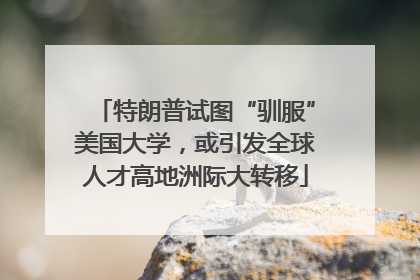 特朗普试图“驯服”美国大学，或引发全球人才高地洲际大转移