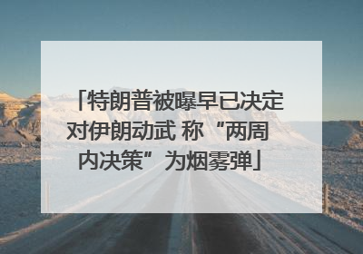 特朗普被曝早已决定对伊朗动武 称“两周内决策”为烟雾弹