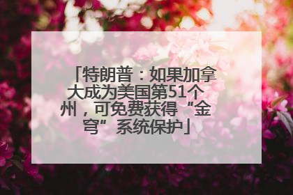 特朗普：如果加拿大成为美国第51个州，可免费获得“金穹”系统保护