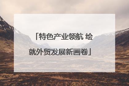 特色产业领航 绘就外贸发展新画卷