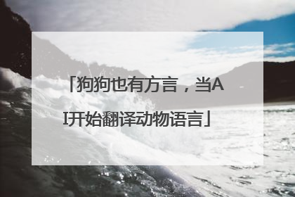狗狗也有方言，当AI开始翻译动物语言