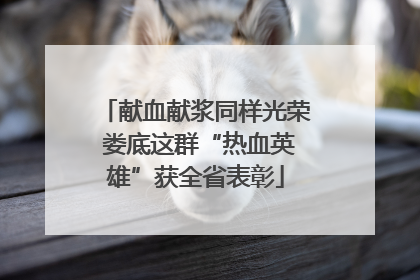 献血献浆同样光荣 娄底这群“热血英雄”获全省表彰