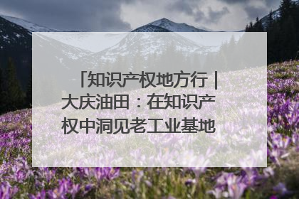 知识产权地方行｜大庆油田：在知识产权中洞见老工业基地的 “创新密码”