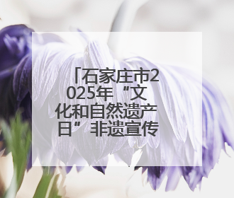 石家庄市2025年“文化和自然遗产日”非遗宣传展示活动暨“多彩石家庄·非遗购物节”倒计时1天