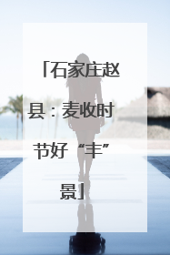 石家庄赵县：麦收时节好“丰”景