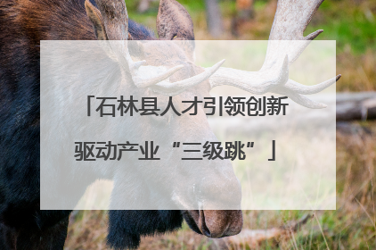 石林县人才引领创新驱动产业“三级跳”