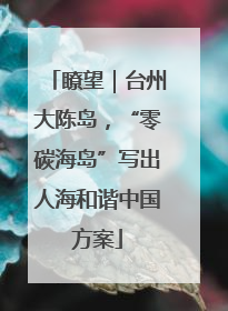 瞭望｜台州大陈岛，“零碳海岛”写出人海和谐中国方案