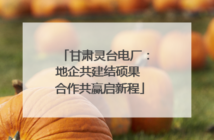 甘肃灵台电厂：地企共建结硕果 合作共赢启新程