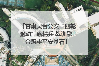 甘肃灵台公安“四轮驱动”砺精兵 战训融合筑牢平安基石