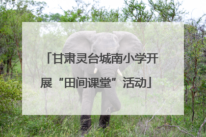 甘肃灵台城南小学开展“田间课堂”活动