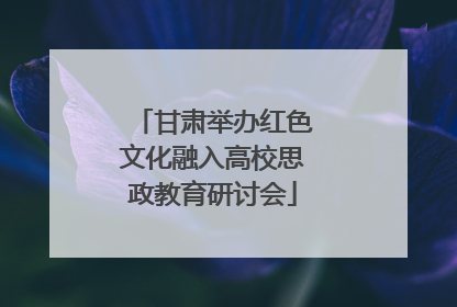 甘肃举办红色文化融入高校思政教育研讨会