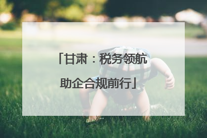 甘肃：税务领航 助企合规前行