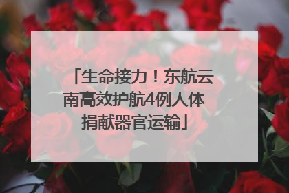 生命接力！东航云南高效护航4例人体捐献器官运输