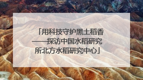 用科技守护黑土稻香——探访中国水稻研究所北方水稻研究中心