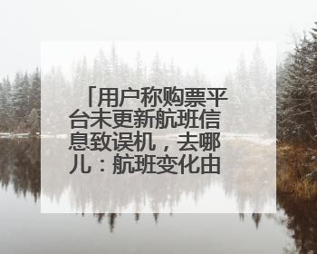 用户称购票平台未更新航班信息致误机，去哪儿：航班变化由航司通知