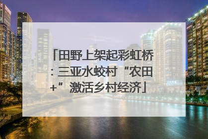 田野上架起彩虹桥：三亚水蛟村“农田+”激活乡村经济