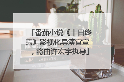 番茄小说《十日终焉》影视化导演官宣，将由许宏宇执导