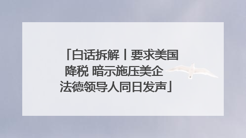 白话拆解丨要求美国降税 暗示施压美企 法德领导人同日发声