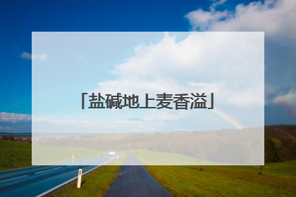 盐碱地上麦香溢