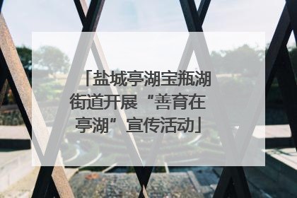 盐城亭湖宝瓶湖街道开展“善育在亭湖”宣传活动