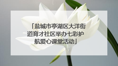 盐城市亭湖区大洋街道育才社区举办七彩护航爱心课堂活动
