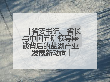 省委书记、省长与中国五矿领导座谈背后的盐湖产业发展新动向