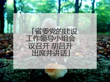 省委党的建设工作领导小组会议召开 胡昌升出席并讲话