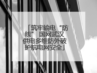 筑牢输电“防线” 国网武汉供电多维防外破护航电网安全