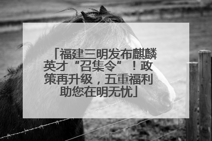 福建三明发布麒麟英才“召集令”！政策再升级，五重福利助您在明无忧