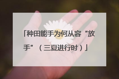 种田能手为何从容“放手”（三夏进行时）