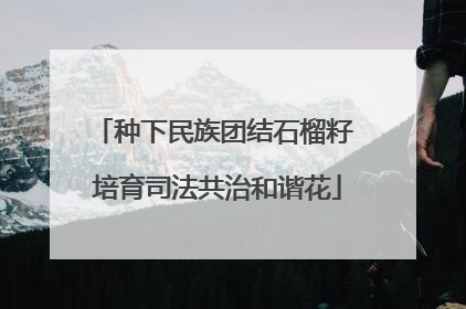 种下民族团结石榴籽 培育司法共治和谐花