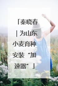 秦晓春｜为山东小麦育种安装“加速器”