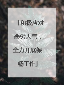 积极应对恶劣天气，全力开展保畅工作