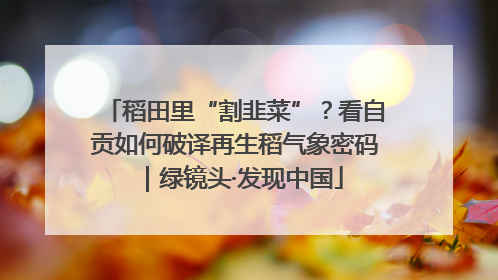 稻田里“割韭菜”？看自贡如何破译再生稻气象密码｜绿镜头·发现中国
